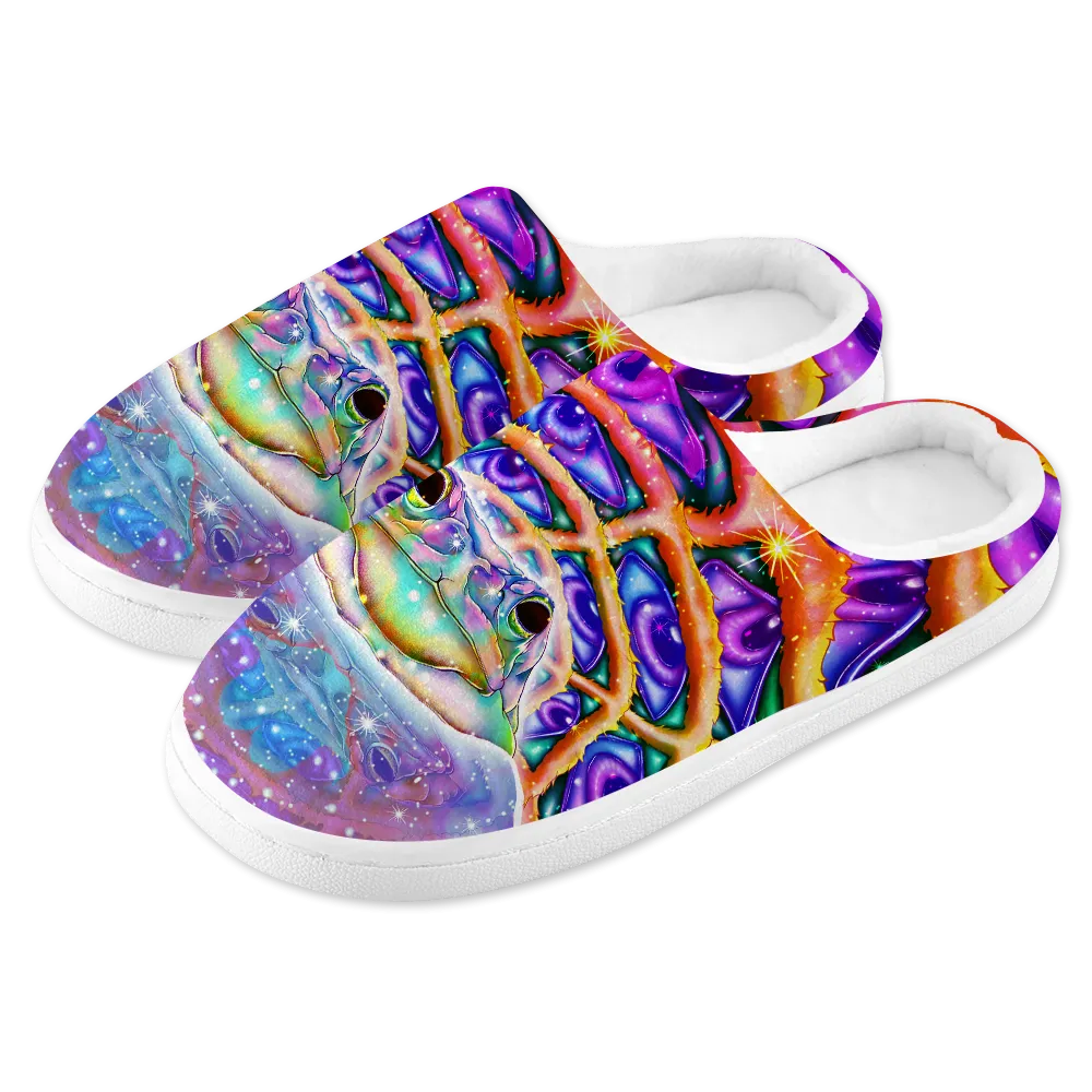 Awakening Men's Plush Slippers