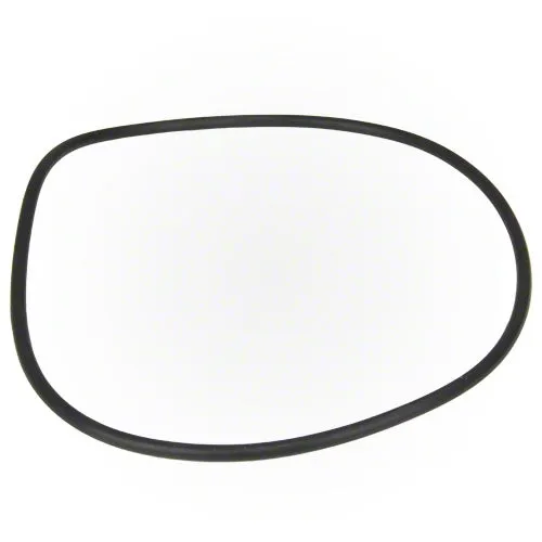 Jandy FloPro Pump Backplate Kit R0479500