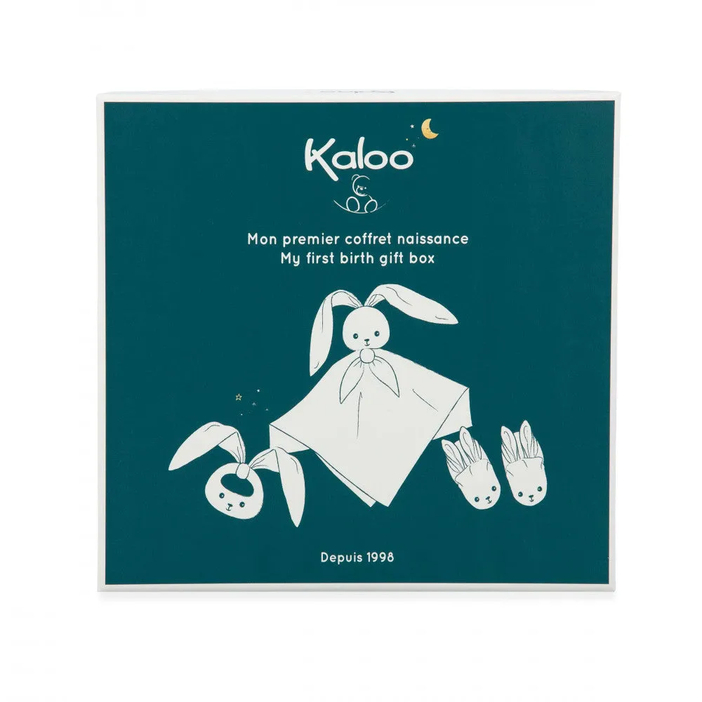 K218013