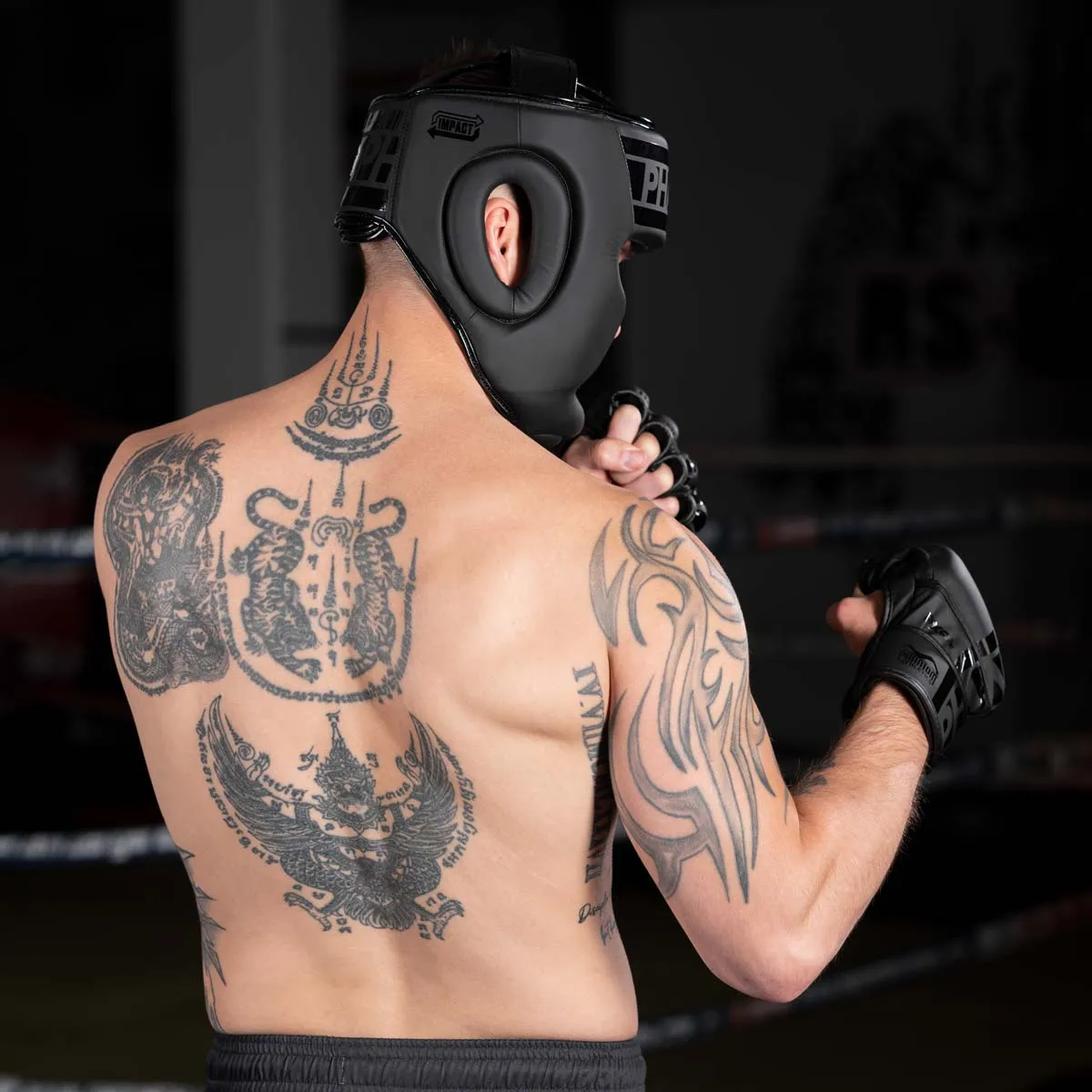 Phantom APEX Full Face Headgear