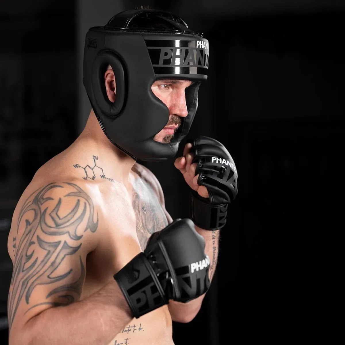 Phantom APEX Full Face Headgear